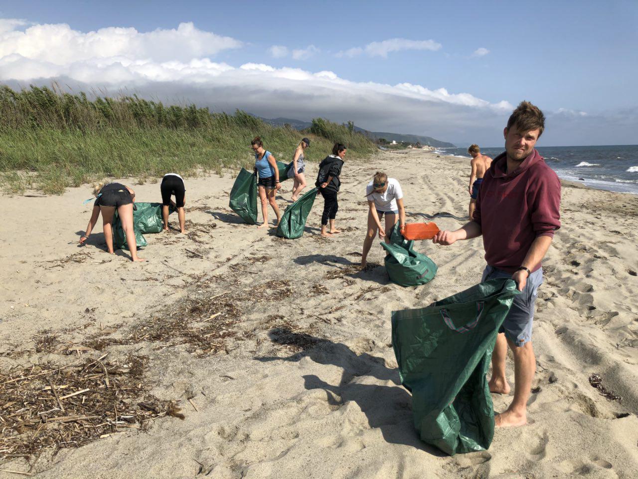 Beach Cleanup